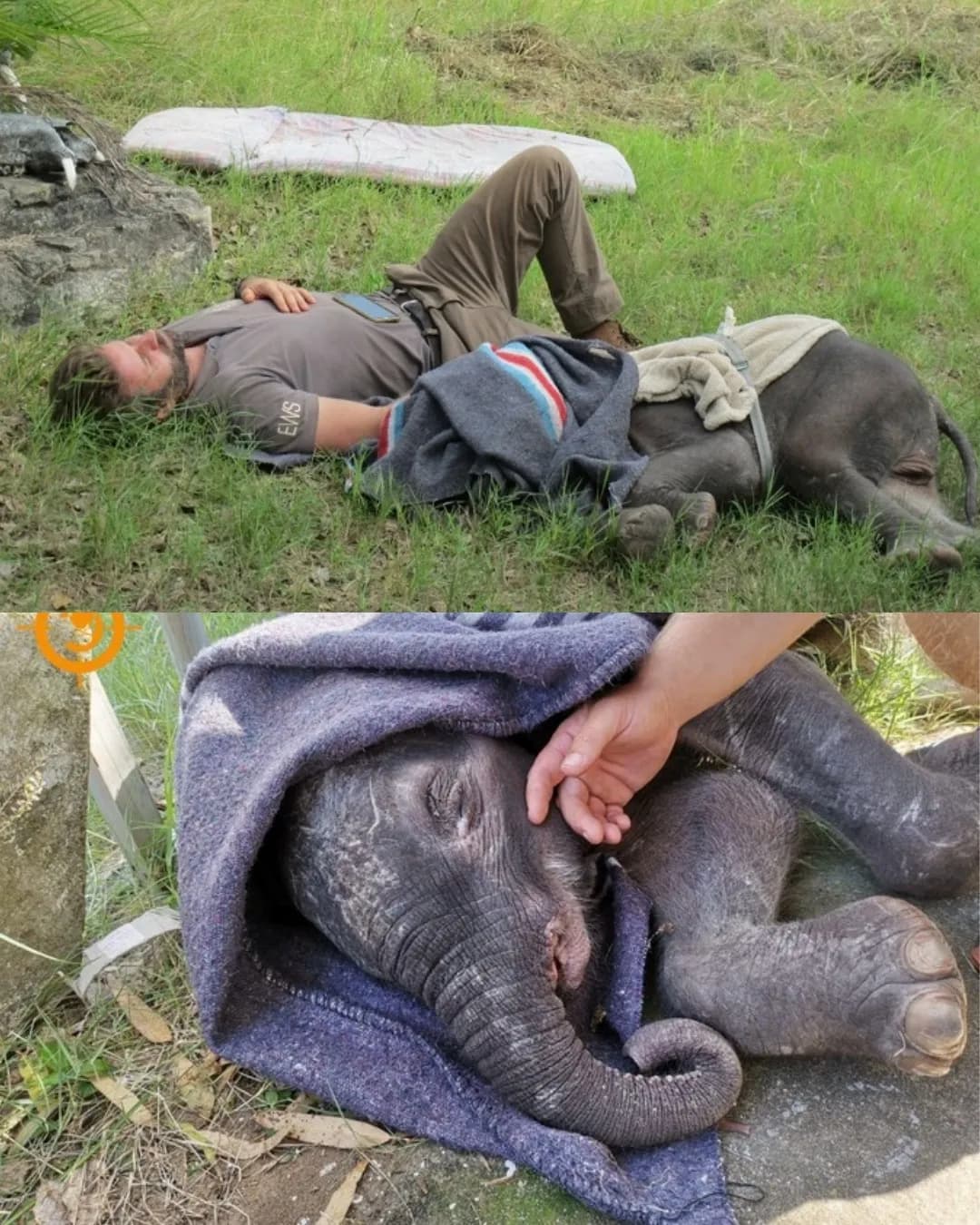 Moyo’s Journey: A Story of Compassion, Survival, and Hope